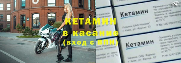 трава Ельня