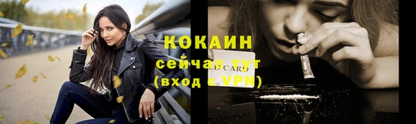 трава Ельня