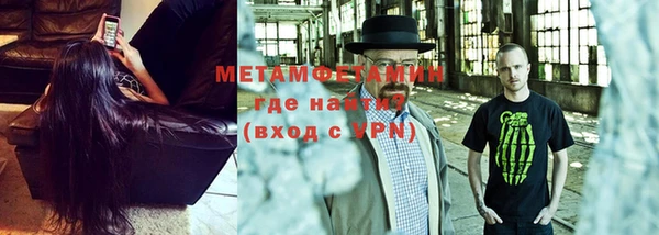трава Ельня