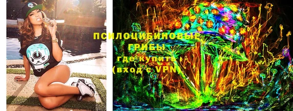 тгк Елабуга