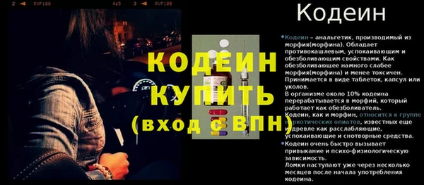 трава Ельня
