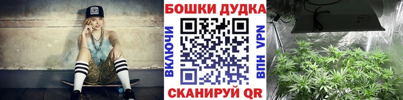 Купить где  Сафоново  Каннабис планчик 